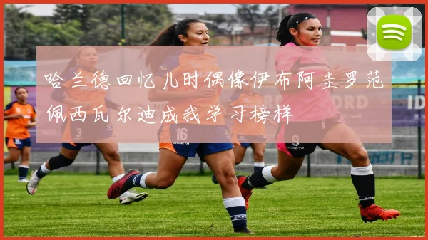 哈兰德回忆儿时偶像伊布阿圭罗范佩西瓦尔迪成我学习榜样