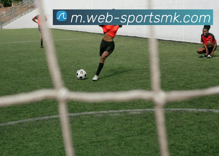 MK体育服务体系