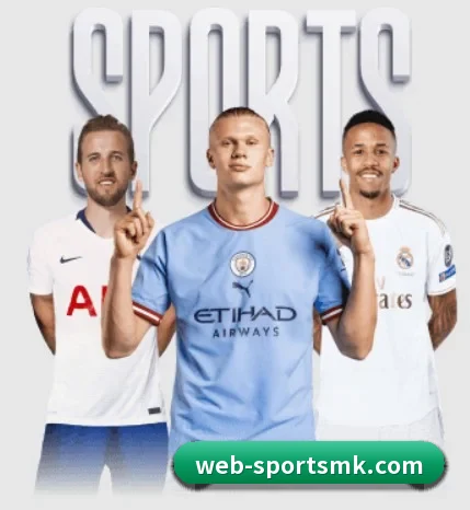 MK体育 APP（mksports）